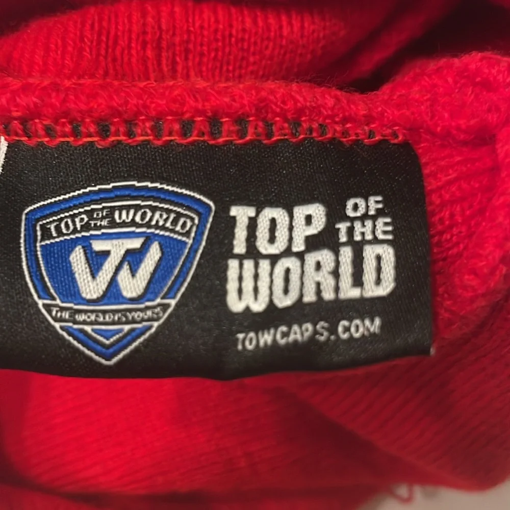 Wisconsin Badgers Top of the World Beanie | OS